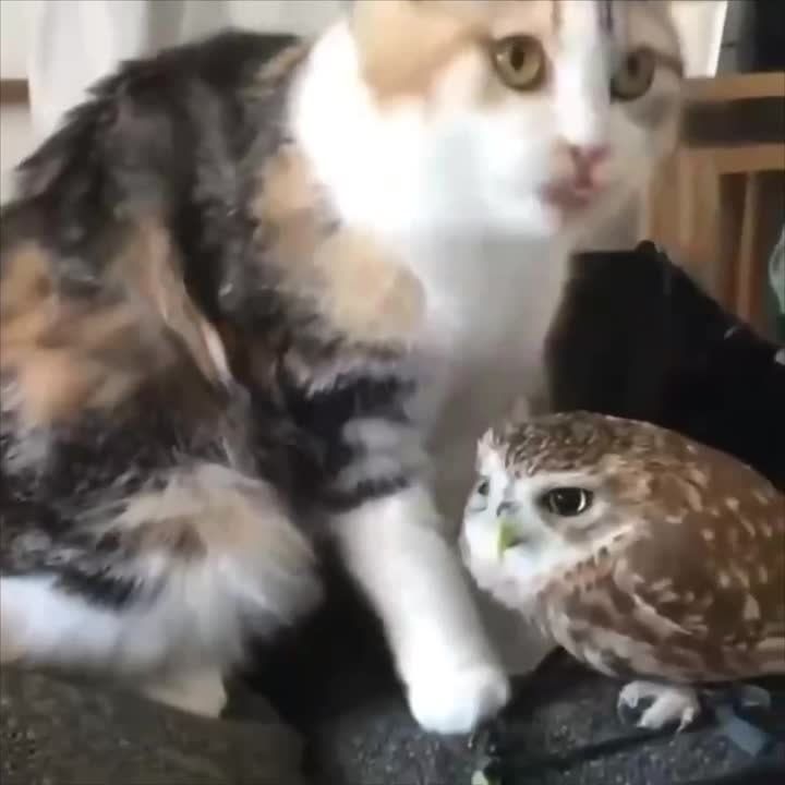 ��������� ������. �������������� ��