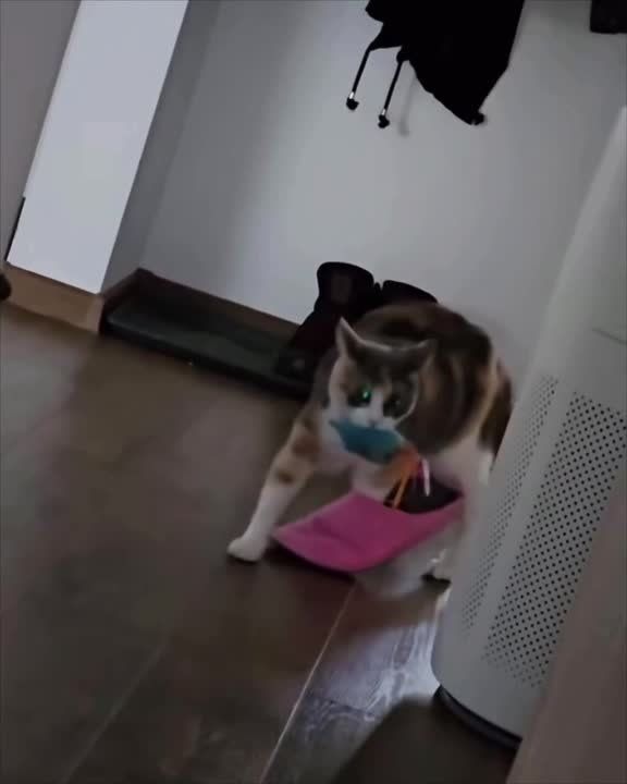 ��� �� ��� �����. �������������� ��