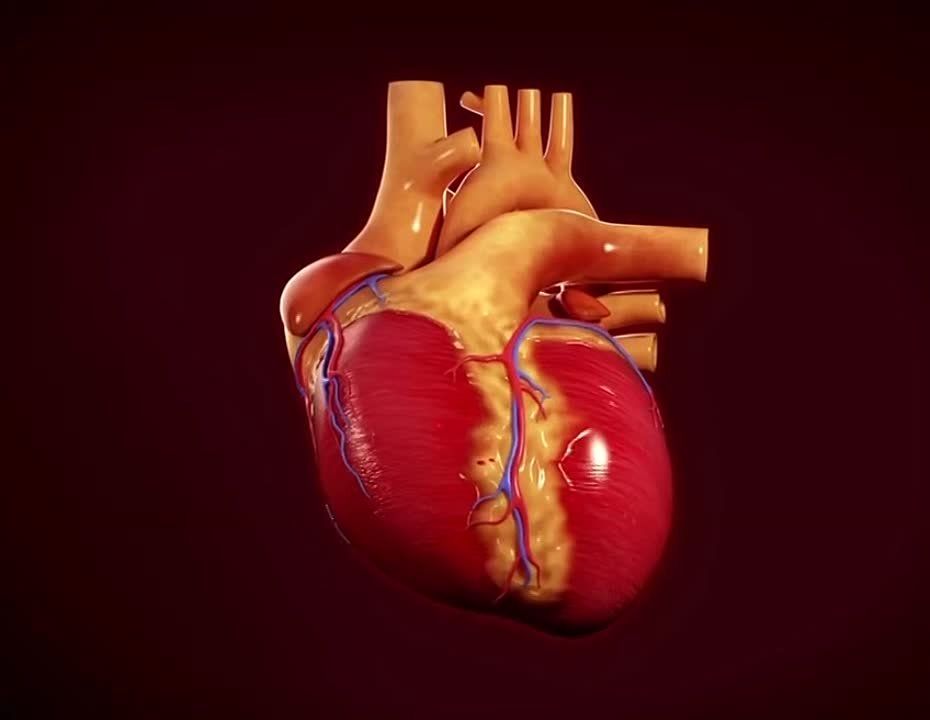 60 ��� ����� � ���������� ������������ ������� ������ ������ � ���� �������� ���������� ������������ ����������� ������