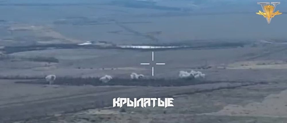 ����� �����: ����������� �����������