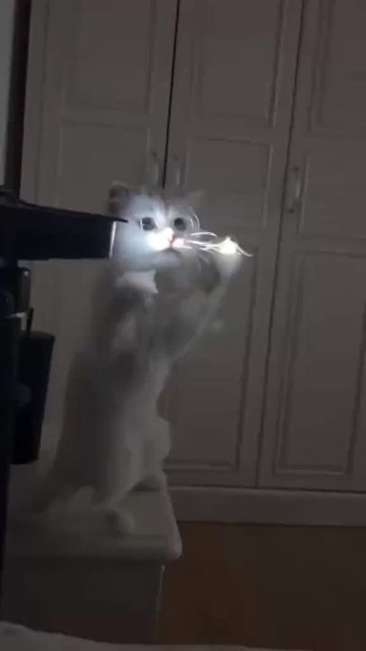�� �� ���� ������, �� �� ����� �����, �� ������