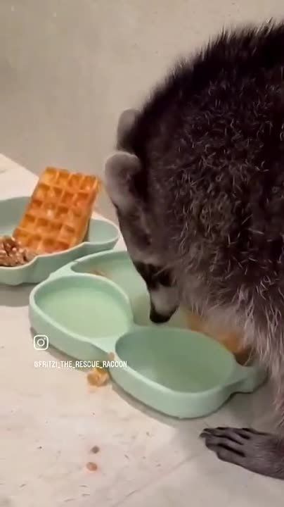 ������ ����, ������! �������� ��� ��� � ��������� ����������!