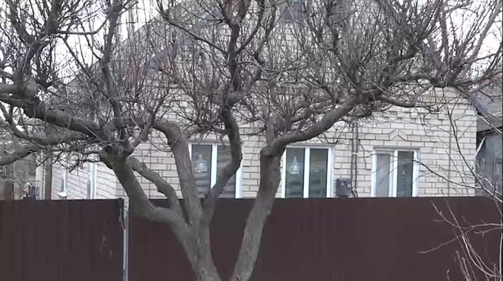 � ���������� ����������� ������� ������� ���������� ������ ������������� �����������