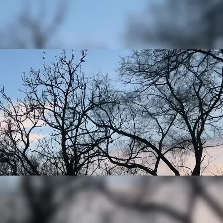 � ���������� ����� �����������