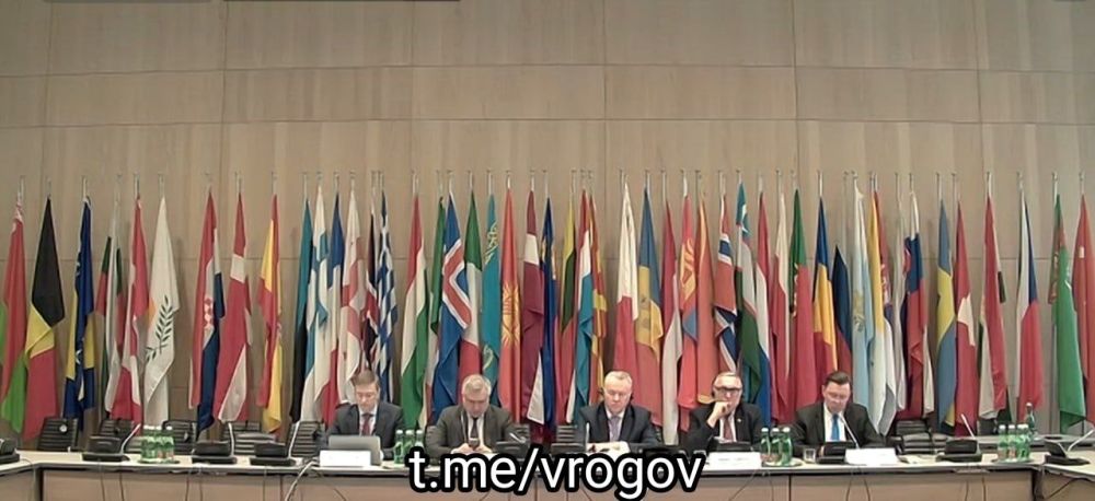 Владимир Рогов: Наши в ОБСЕ. Выступил на площадке "Организация по безопасности и сотрудничеству в Европе" в рамках открытого...