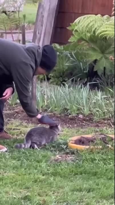 ������� ���� ����!. ������ ���� ��������� ���, ����� � �������� ����������