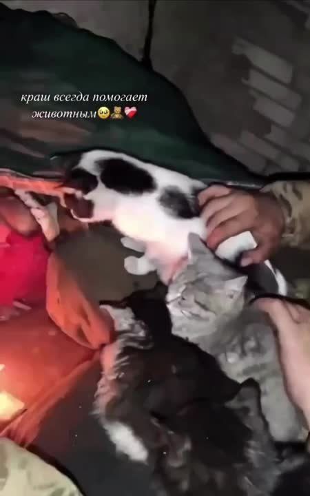 ������� ������� ������: ���� ������� ������ � �������� ����� �� ���������