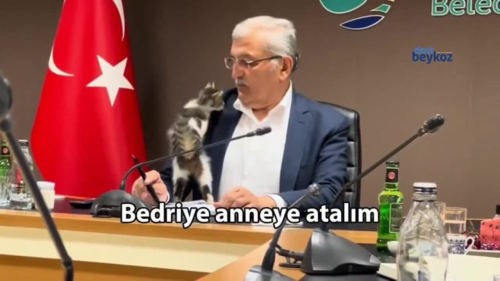 � �������� ������ ������ ������� ������� �� ���� ������ �� ����� ���������