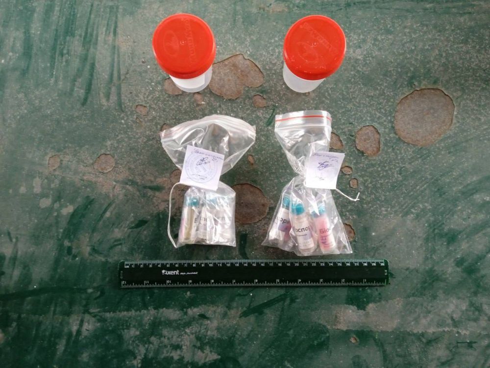 Родион Мирошник: ФCБ России пресекли попытку украинского терракта с использованием химического оружия в Запорожской области