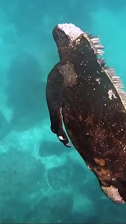 ������� ������. ��� ������������ �������, ������� �������� ������� ����� ������ ������� � ������ � �������� ���������� ������������� ��������. ��� ����� ������ �� ������� �� 30 ������ � ����������� ������� �� ����! �������������� ��