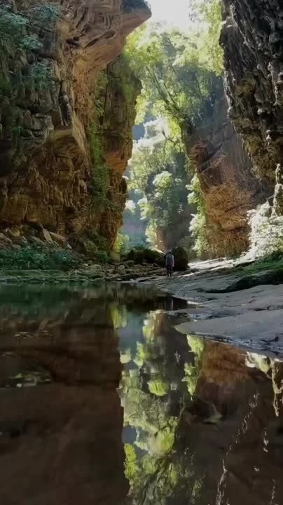 ������ �������-��-�������, ��������� ������ ������������� ��������� ������������� � �������