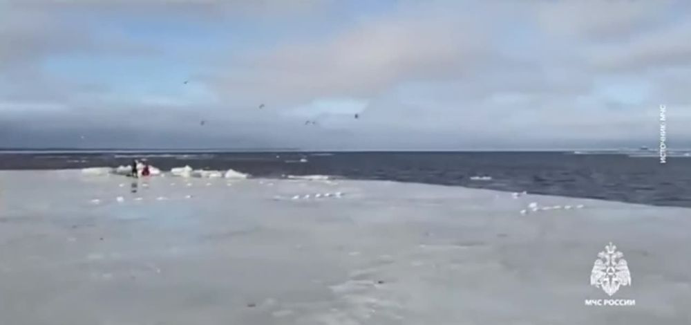 � ����-�� ��������?. � ������ �����