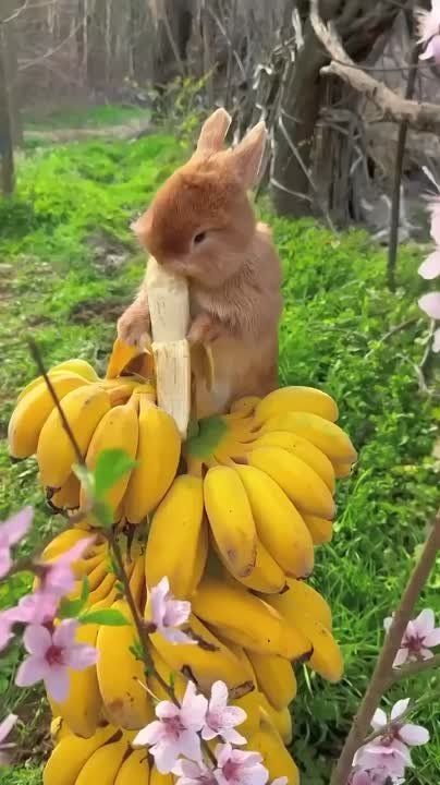����!. ��������� ��������!