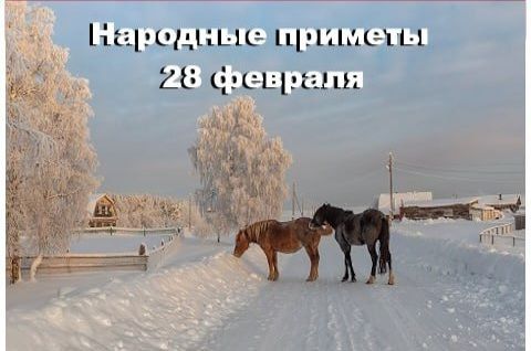 �������� ������� 28 �������