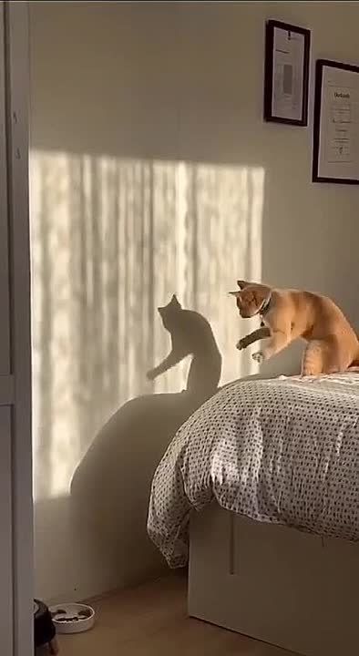 ������ ����! ������ ���� ��������� ���, ����� � �������!