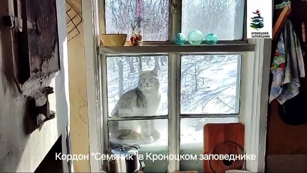 �� �������� ��������� ���������� ����������� ������ ��������� � ��� ������ ����