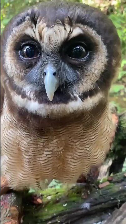 ����� ���� ������� ������ �����, ����� �� ����� ������� ���, ��� �������