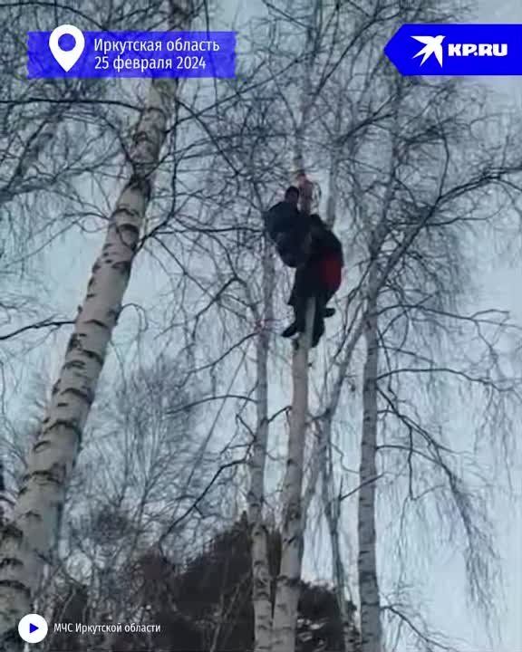 � ��������� ������� ��������� ����� �������� � �������� ������