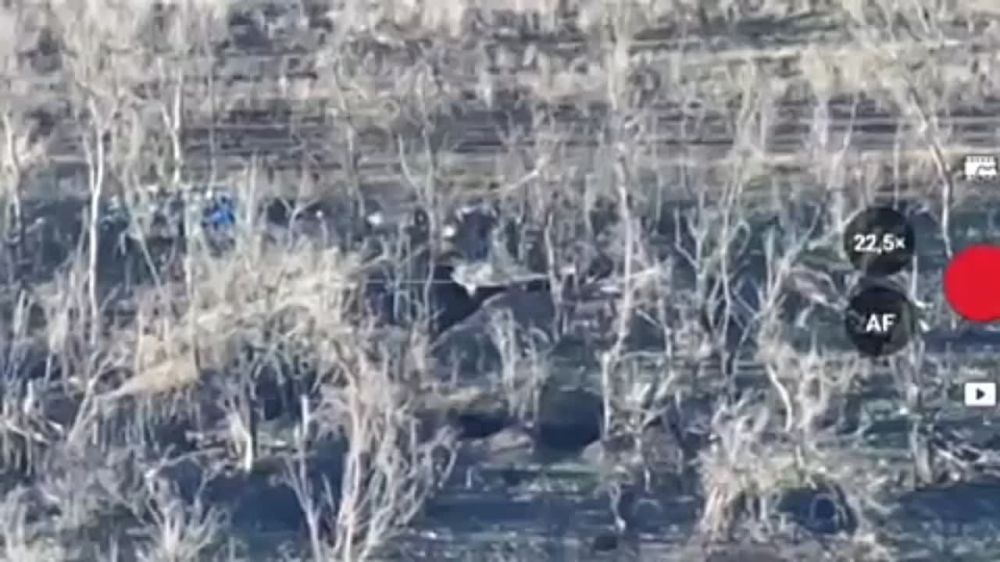 ������� �������: ��� ������� ���� ����� ����������� ������ ��� ��������� ���������� �������� �����