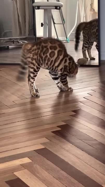 ����� ������ ���� � ������� ����� �������� ��� ��� �������