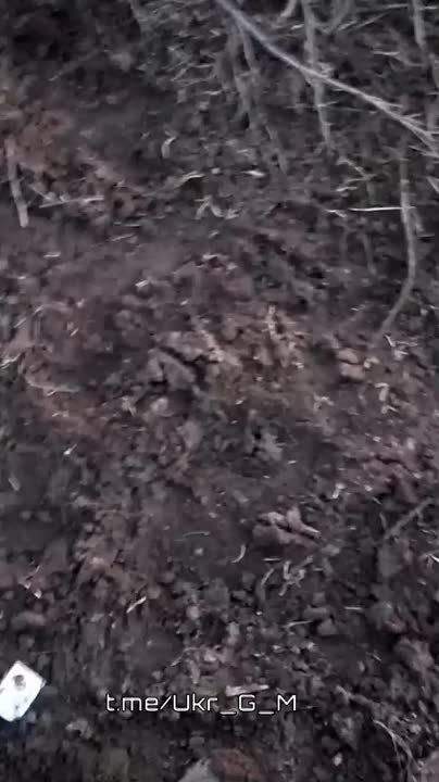 ��-�� ���������� ������� ��������� �������� ��� ����������� ����� ������� ����� ���������