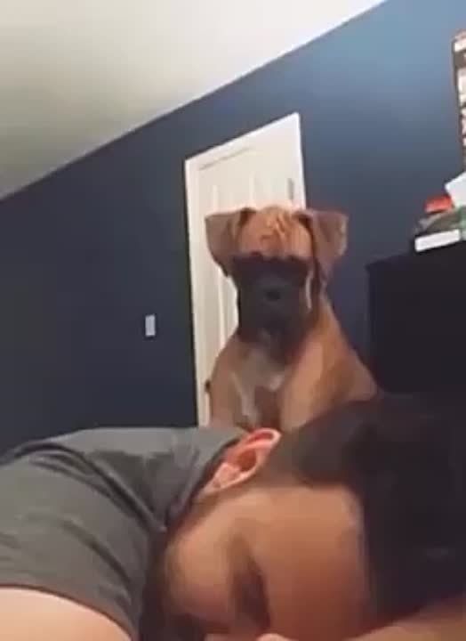 ������ ����, ������!. ����� �����������! �������������� ��