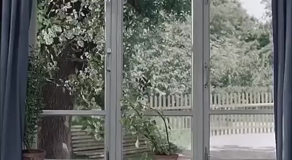 ������ �� �������� �����, 1956 ���