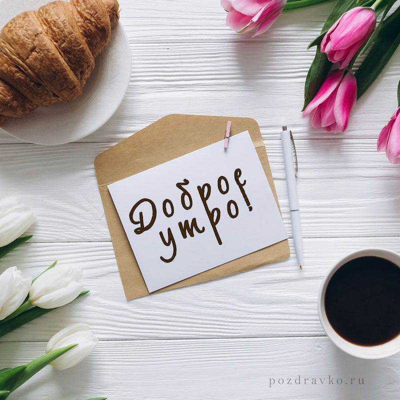 � ������ ���� �����