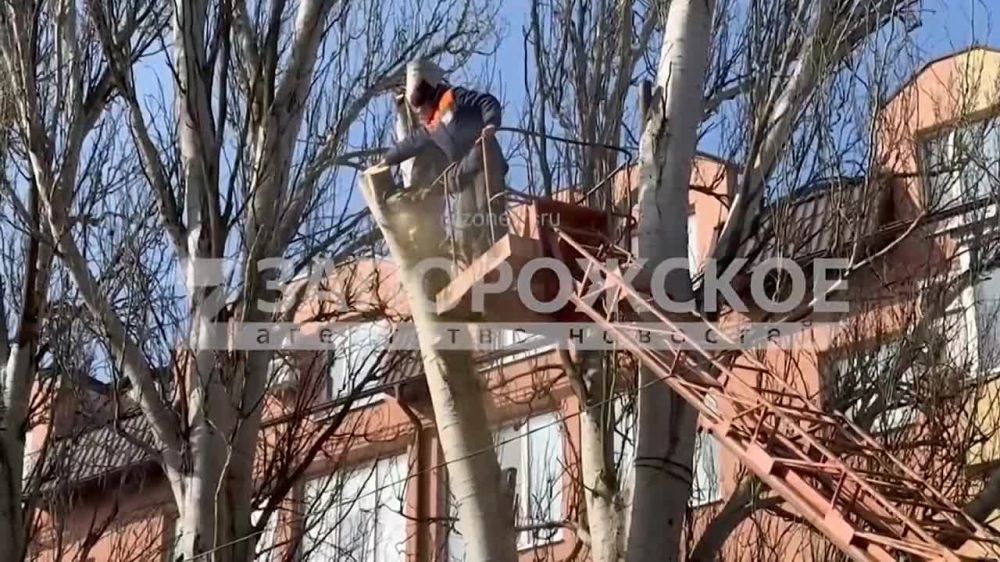 �� ����� ����� ������� ������������ ������ �������� ����� ������, ������� ���� � ��������� ��������� � �������� ������������ �������