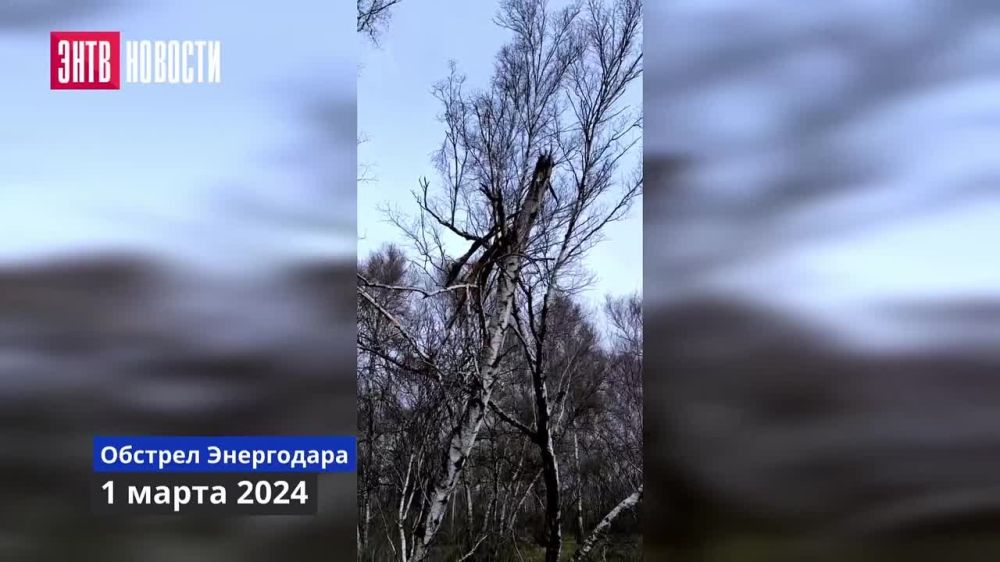 ����������� ���������� �������� ���������� �������������� ���������