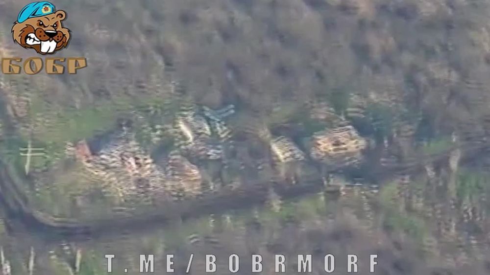 ����� �����: ����� "����" ���������� ���������� ���������� �������� �� ����������� �����������