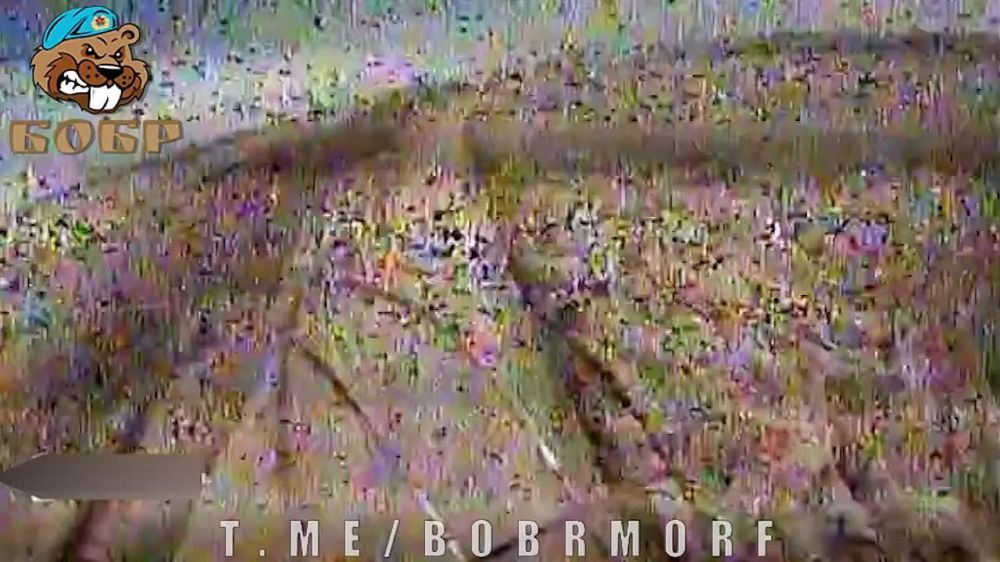 ����� �����: �������� ����� � ������������ ������ � ������� ��� ����������� FPV-������ ������������� ������� �� ����������� �����������