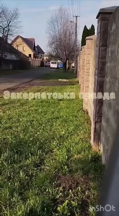 ����� �������� "������� ����� "� ���������� ����������� �� �������