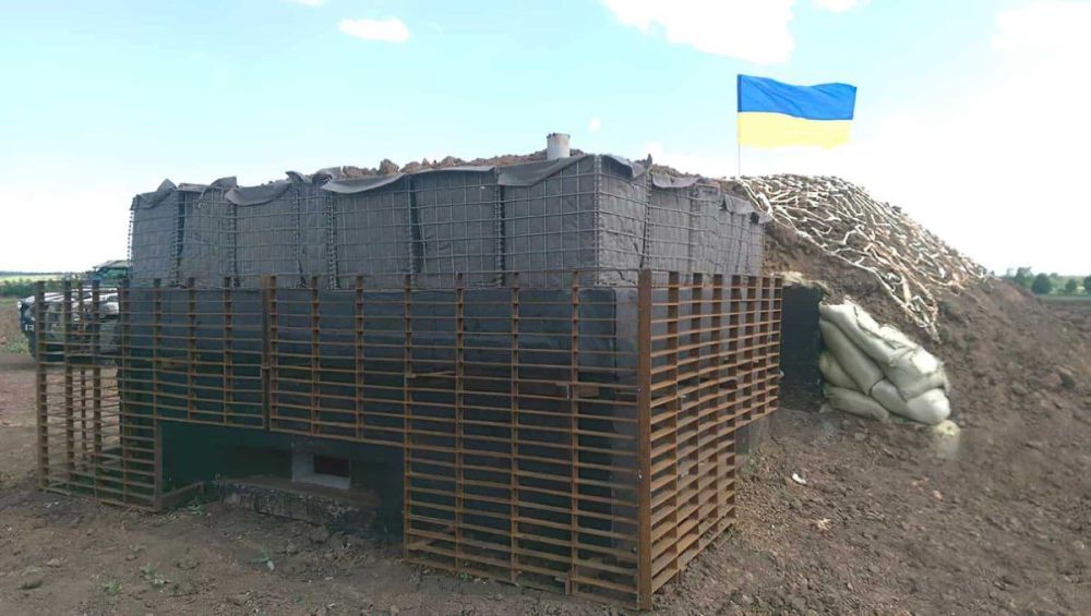 ���� ��������: ����������������� ������� �������� ����� 35 ��������� �������� �� ���������� �������������� ���������� � ����������� ������� - ����������� ��������� ������� ���� �������