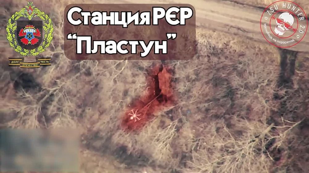 ����� �����: ����������� �����������, ������ ���������� 22 ��� ���