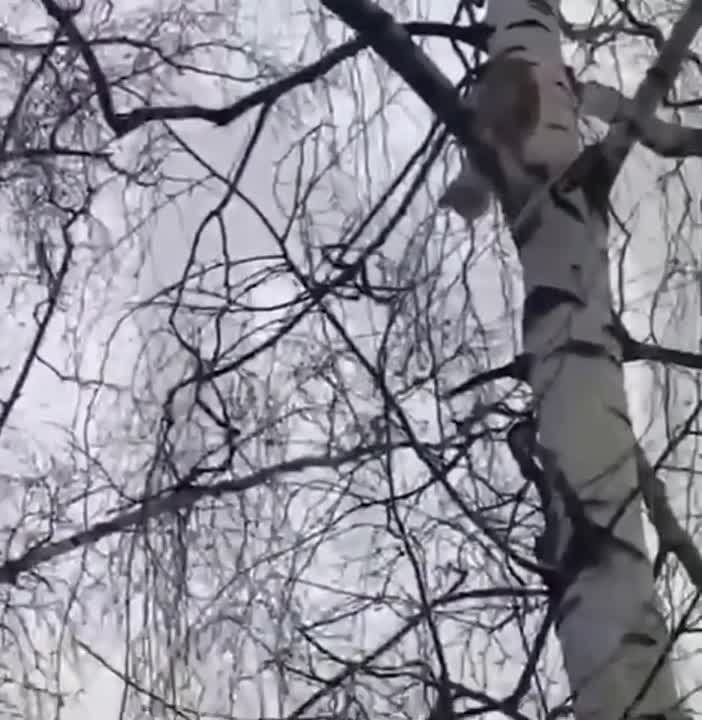 ���������� ����������� ������� �� ������, ����� ������ ����, � �������� ����