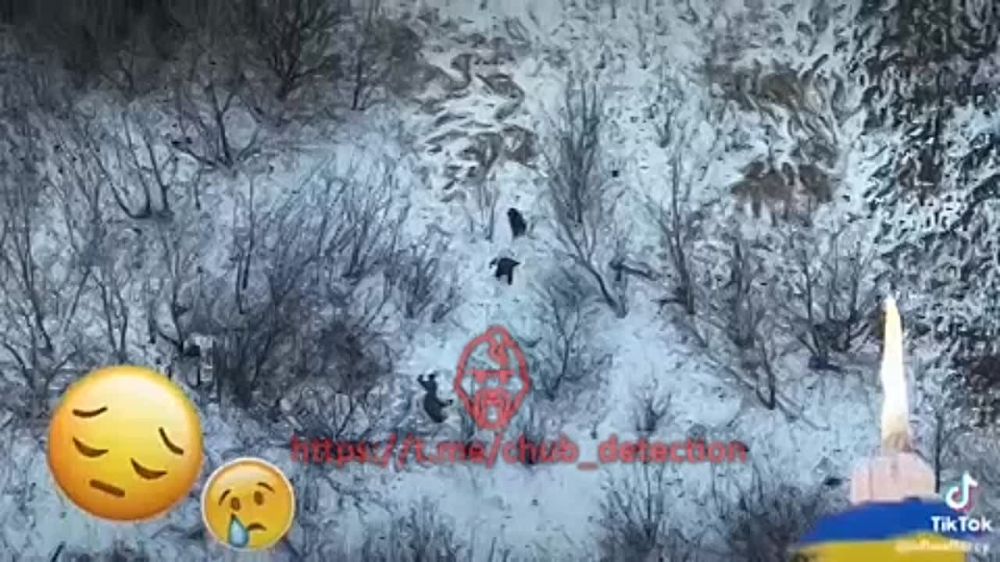��� �����������, ���� ���������� ����� �� ������ � ������ ����� � ������ �� ������ "����������", �� � ��� ������������ ������