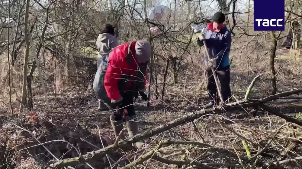 ������ ����������� �������, �������� ����������� ����������������, �������� �������� ������ ���� ��������������� ��������, ���������� ����������� �������, �� 2026 ����