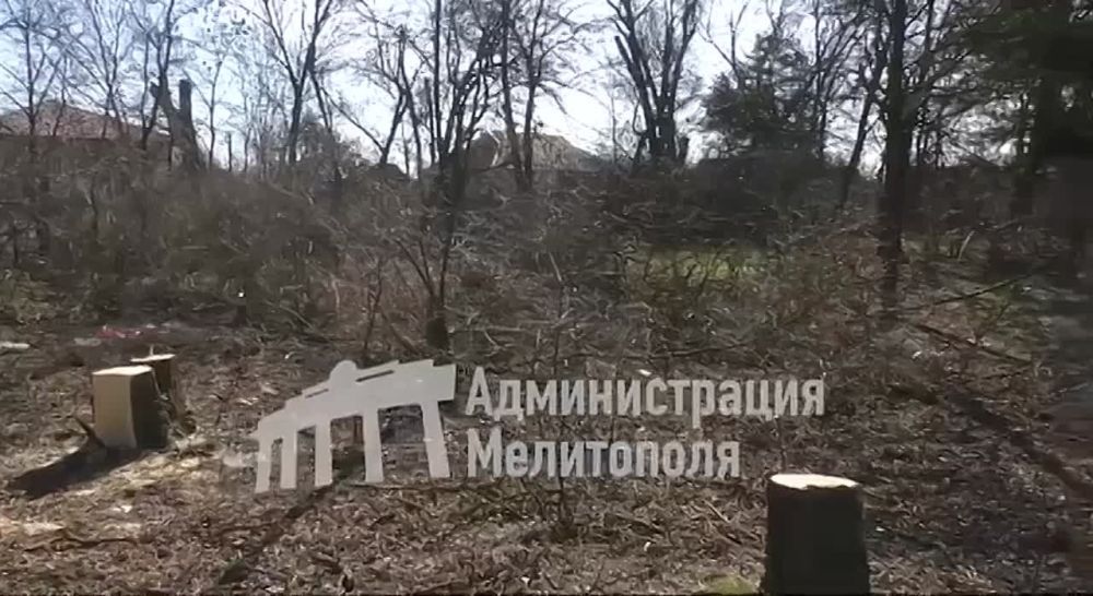 ������-�������� ���� ����������� ������ ���� ��������