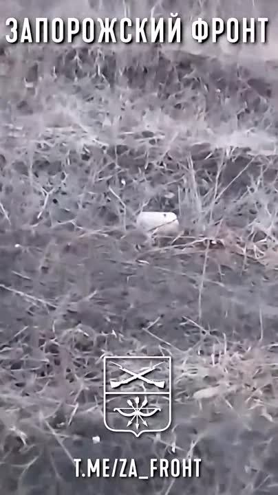 ����� 42 ������� �� ������ ����������� ��� ��������