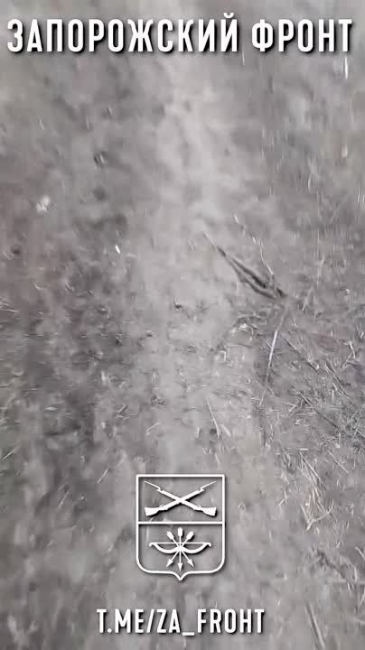 �������� ���� ��������� ��������� � ��������