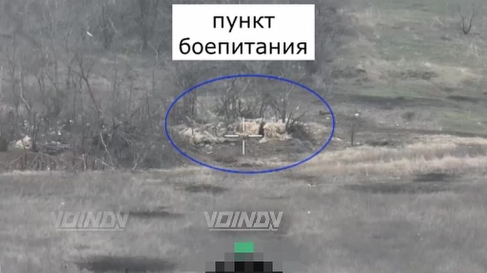 ����� �����: �� ����������� ����������� ��������� ������� ���������� ������ ����������