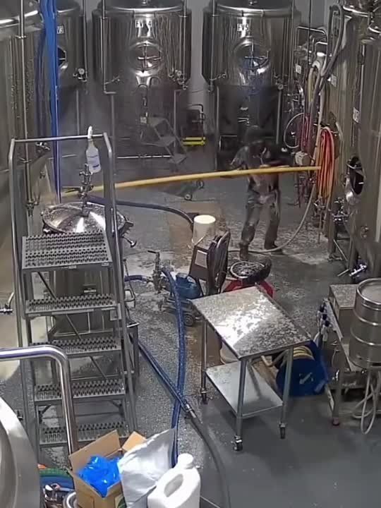 ����� �� �������������� ������� ����: � ��� ������� ������ ���������� ������ ����