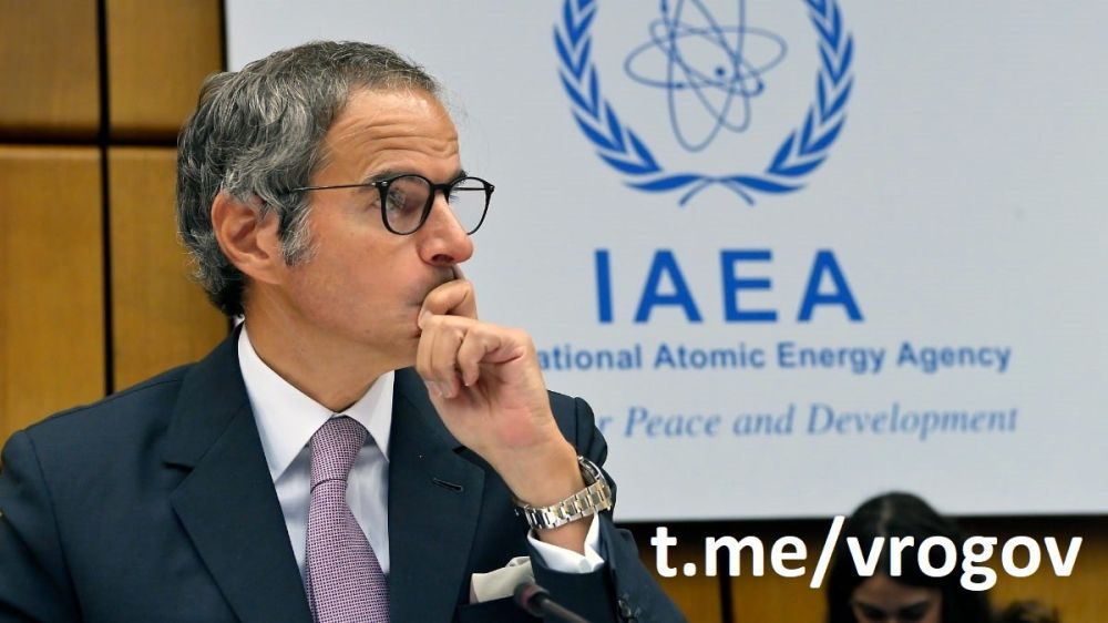 Владимир Рогов: Глава МАГАТЭ Рафаэль Гросси прибыл в Сочи