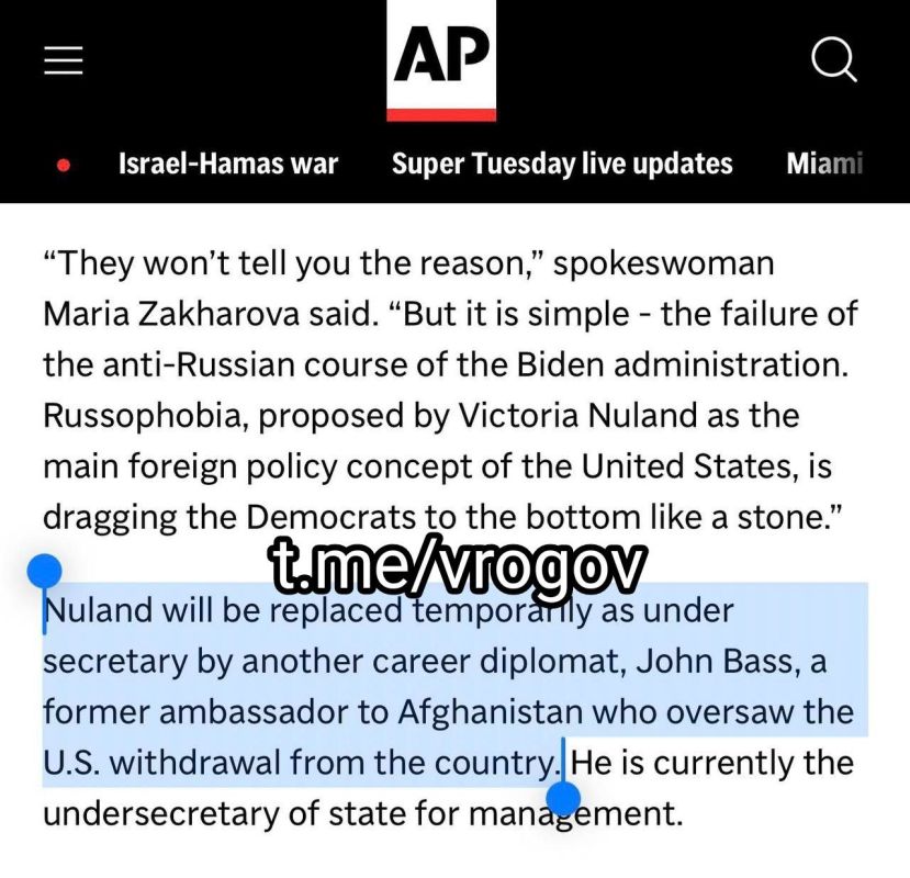 Владимир Рогов: США готовят ЗеРейху афганский сценарий?