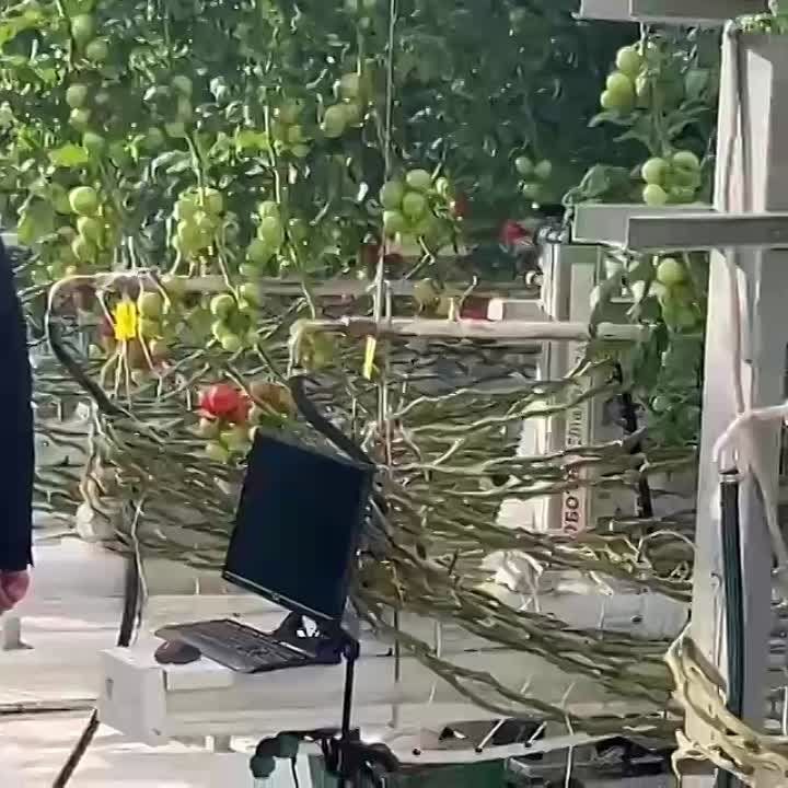 ������ ����� ��������� ������� � ���� �� �������� �������������, ������� �� ���� ��������� $43,5 ����, ����� ����������� ������� �� ���� � �������� �����