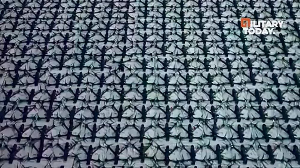 ������ ��������� ������������ FPV-������