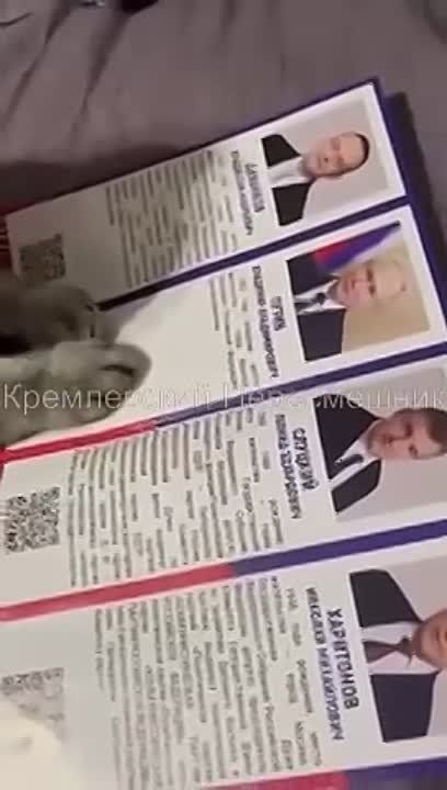 ������ �������: ���� �� ������!