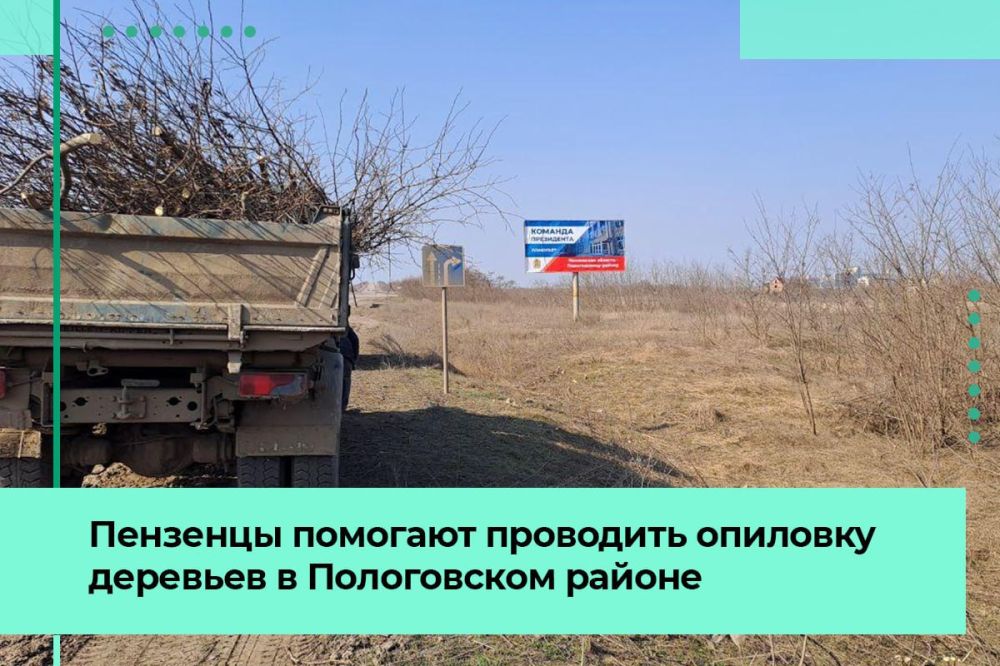 В Пологовском районе опиливать аварийные деревья помогают пензенцы