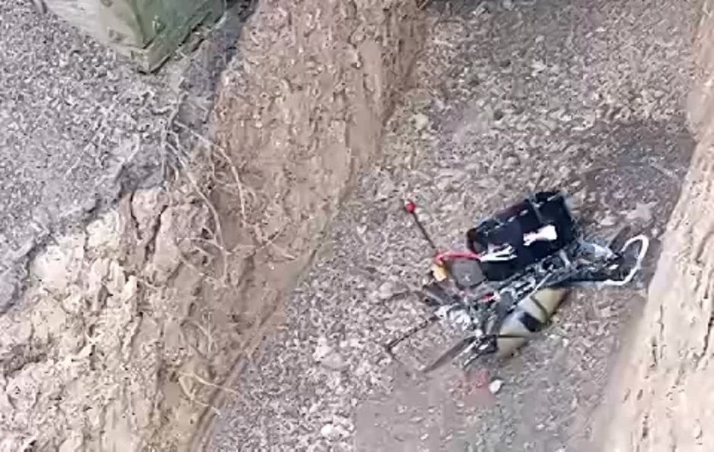 ������� �������: ������������ ���� ��������� ������� ������, � ��� ����� � ��������, ������ �� ���� ��������� ���� � ������ �� ����� ������� ������������ ������